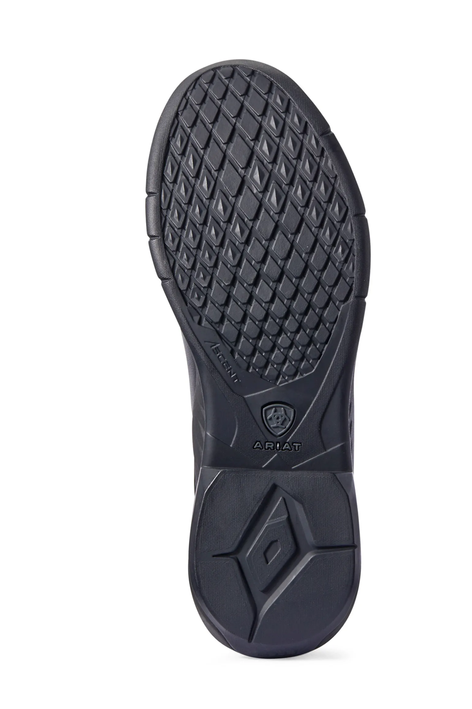 Ariat Ascent dames jodhpurstøvler