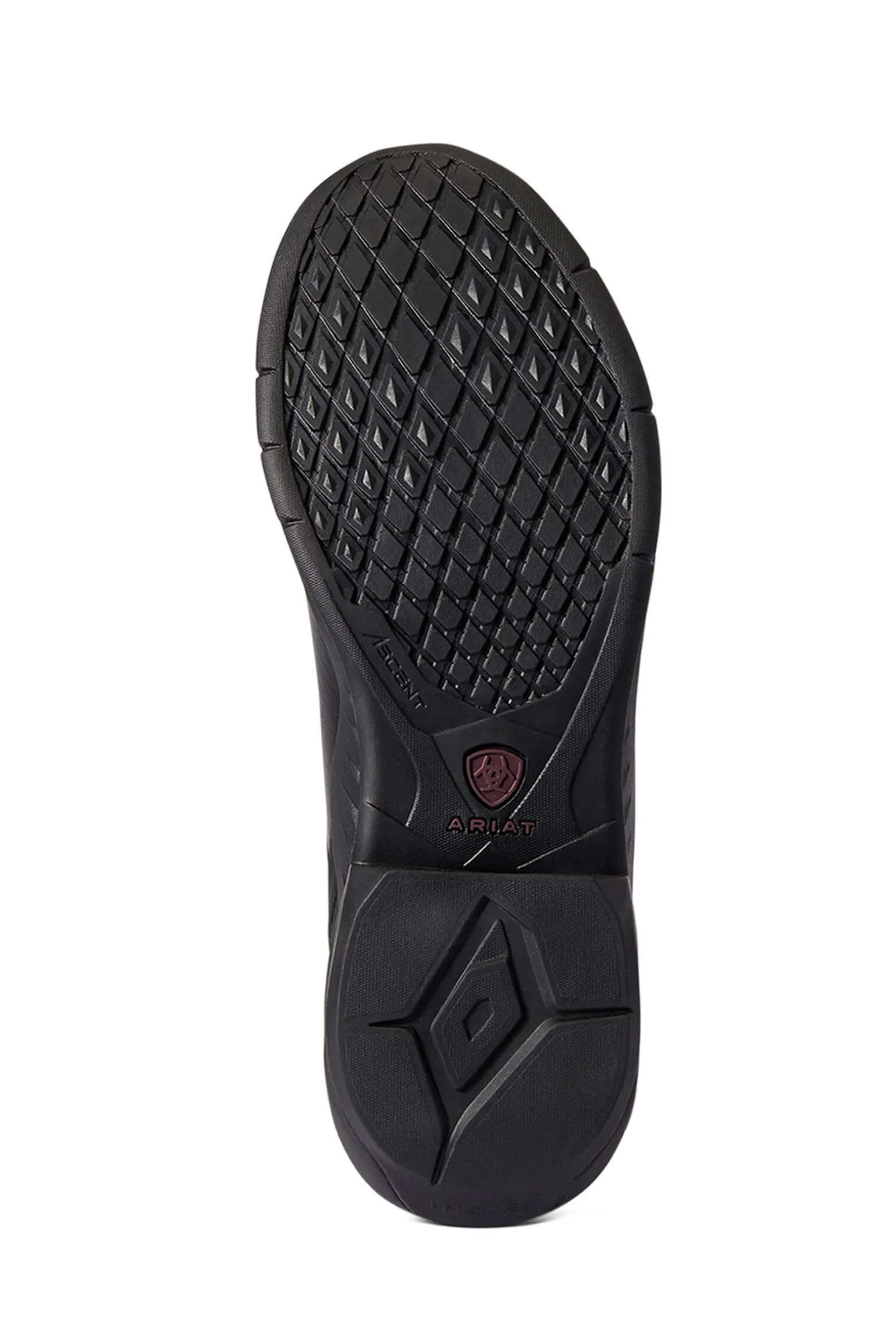 Ariat Ascent H2O dames vanntette jodhpurstøvler