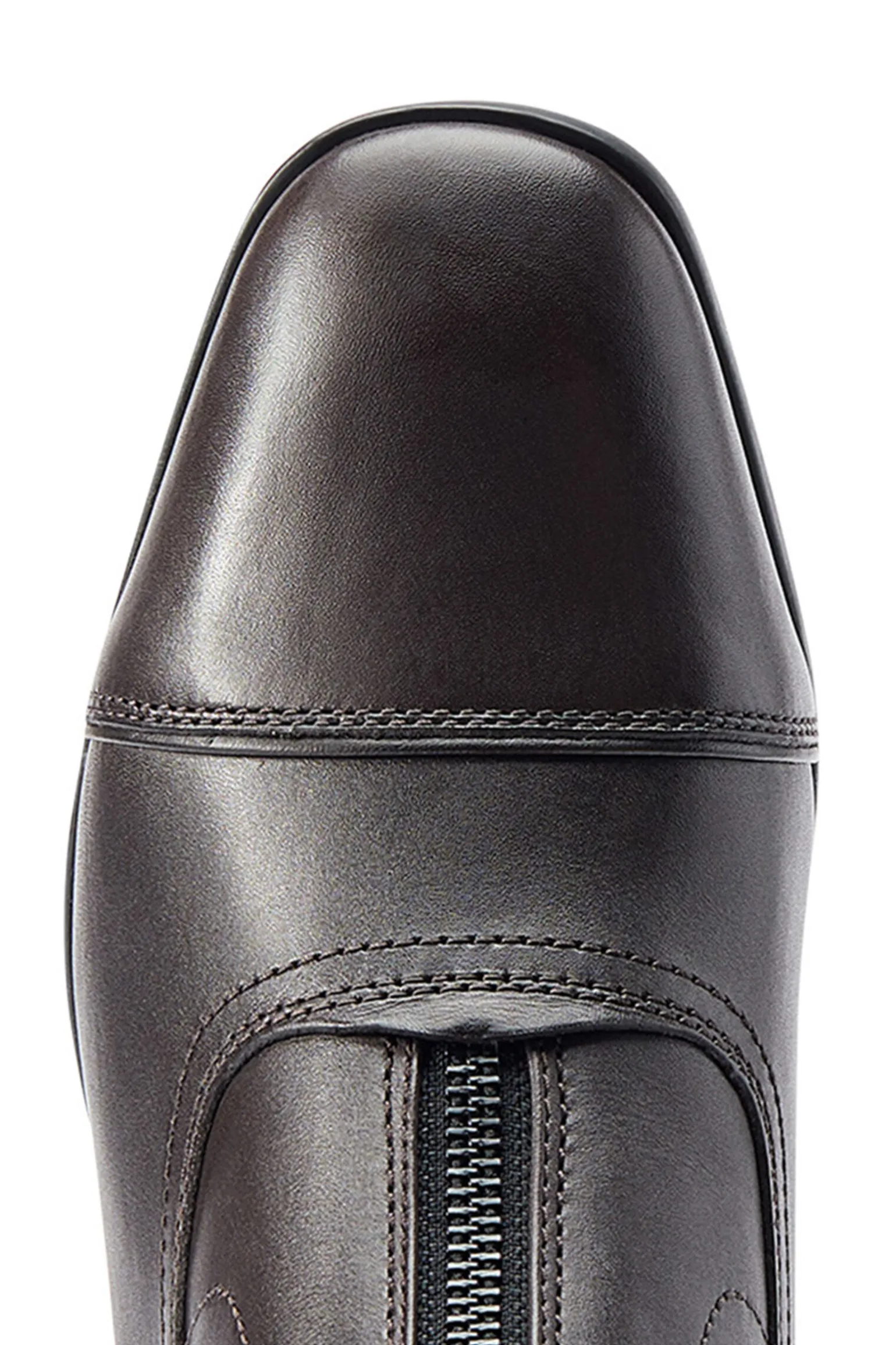 Ariat Palisade dame paddock støvler