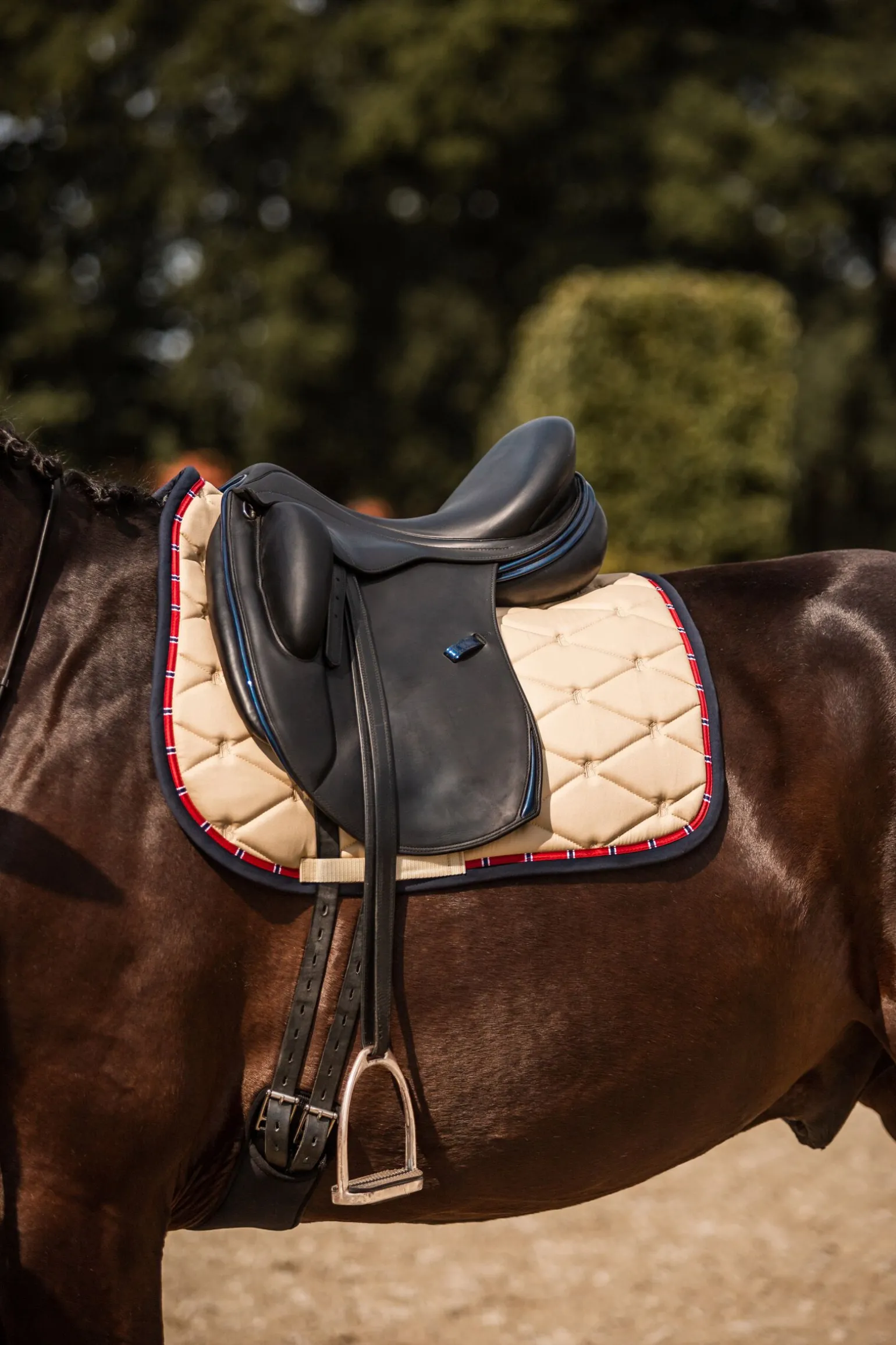 B Vertigo Amory dressursjabrak med brodert monogram