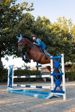 B Vertigo Darcey fleece ridejakke