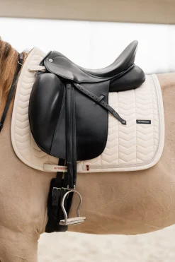 B Vertigo Empowerment dressursjabrak