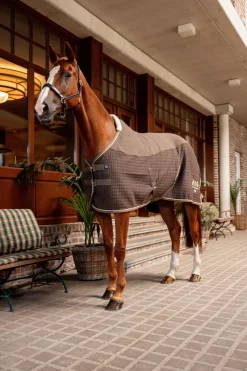 B Vertigo High Altitude ullblanding cooler