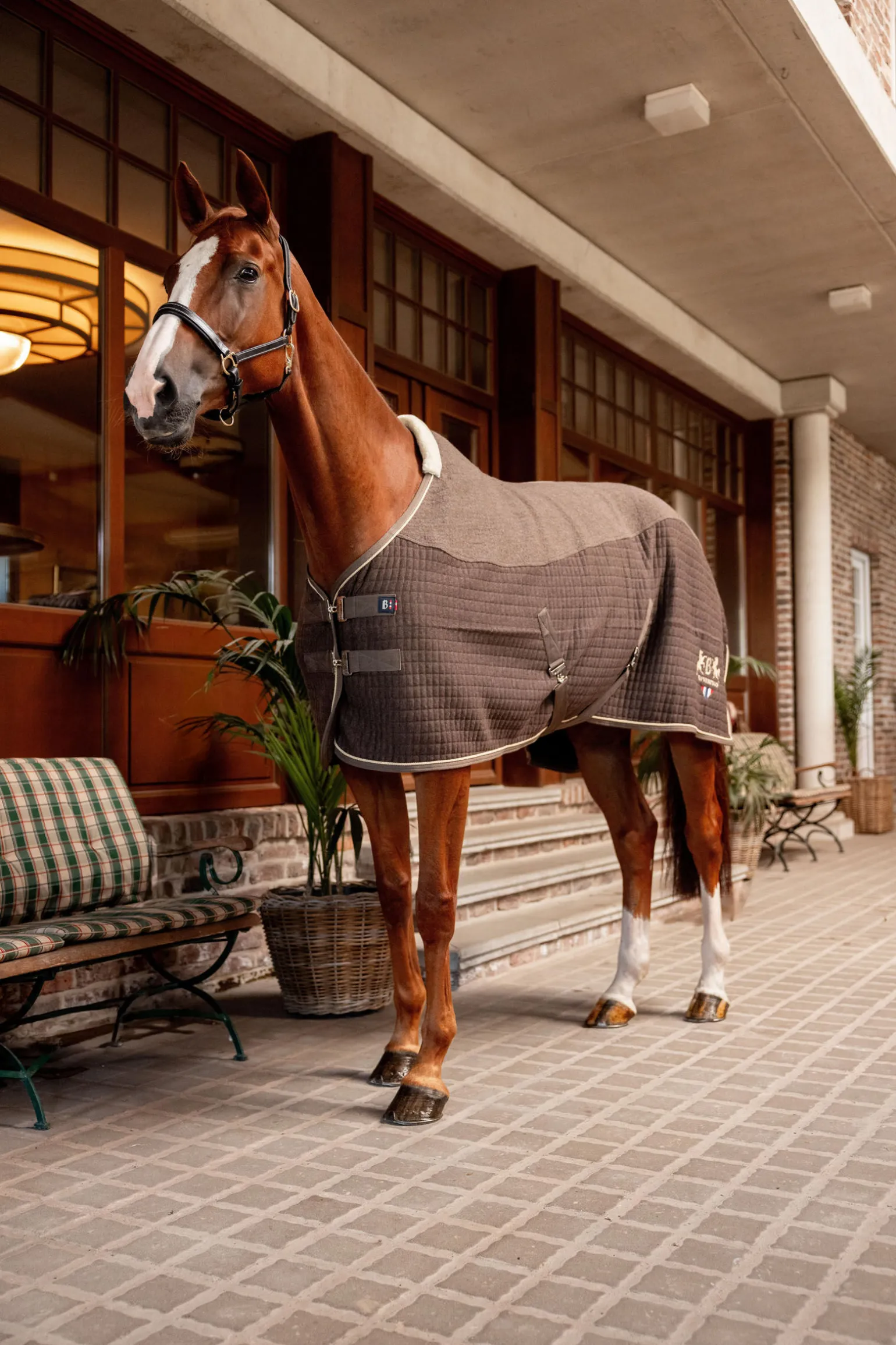 B Vertigo High Altitude ullblanding cooler