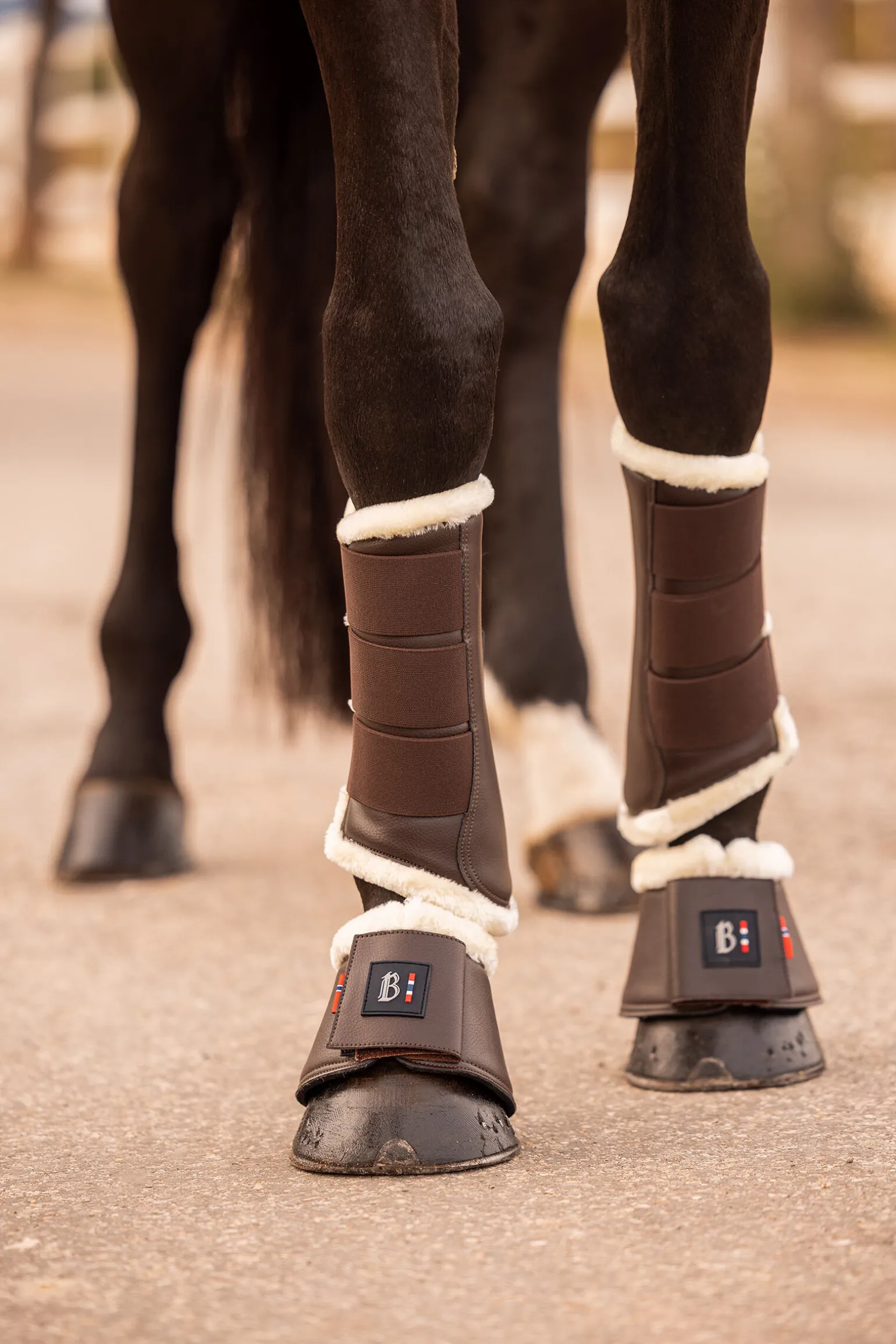 B Vertigo Wellington kopper