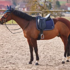 B Vertigo Zurich dressursjabrak