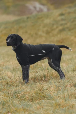 Back on Track Cassie allværsgenser, 65-70 cm