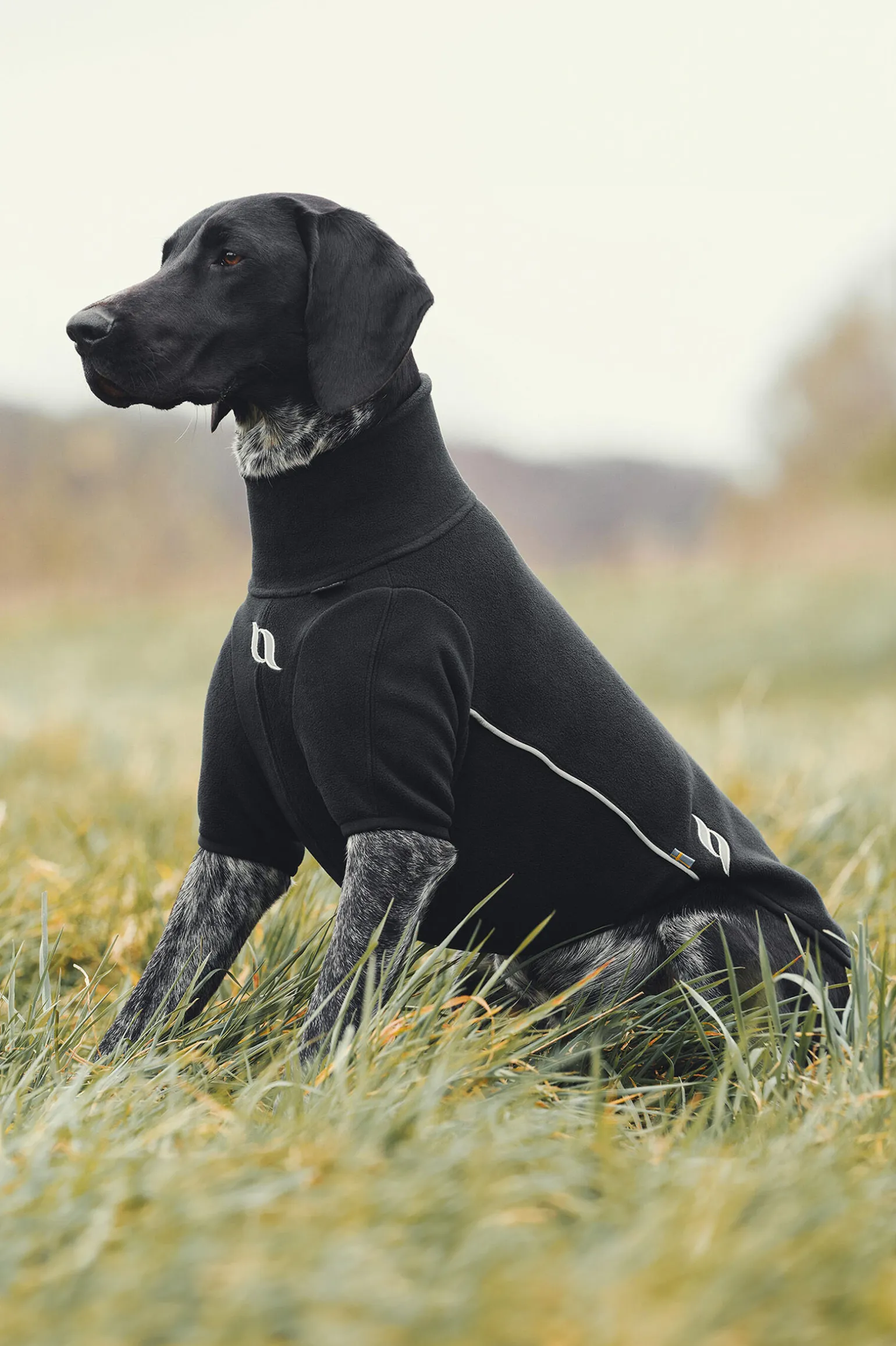 Back on Track Cassie allværsgenser, 65-70 cm