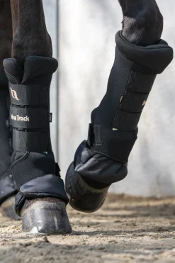 Back On Track Quick Royal stallbandasjer