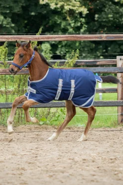 Bucas føldekken, 50g