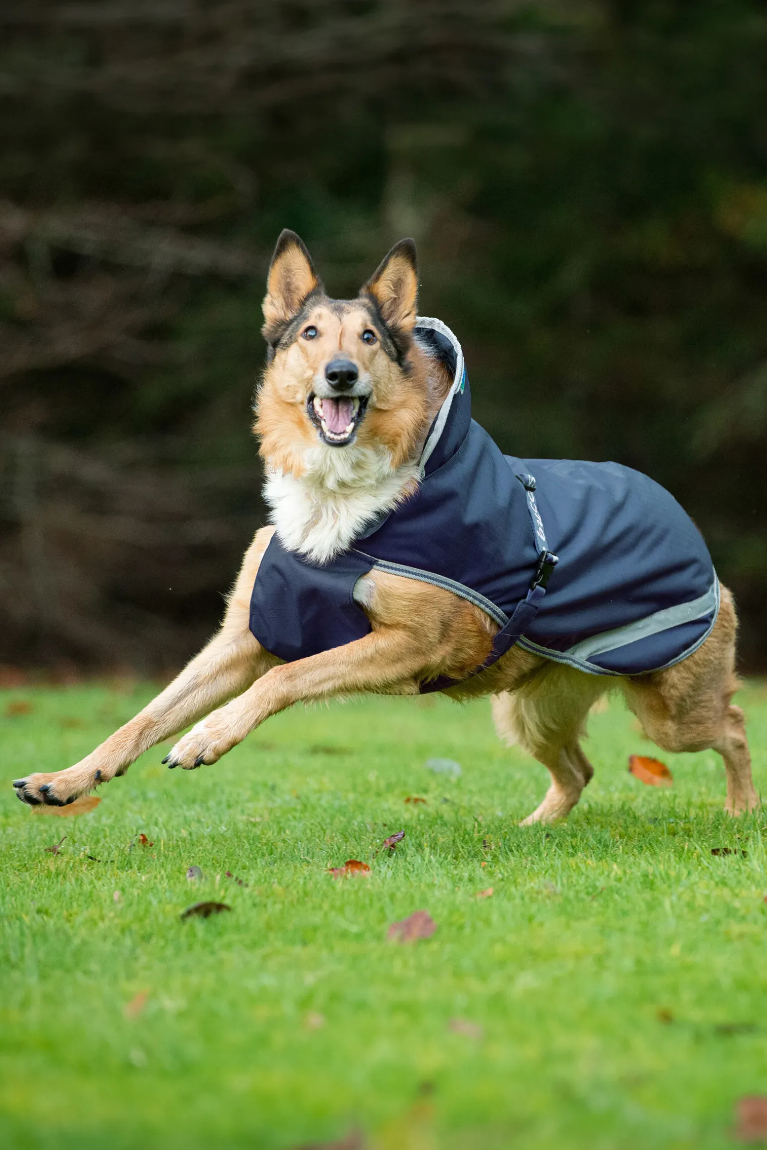 Bucas Freedom Hundedekken, 50g (50-75 cm)