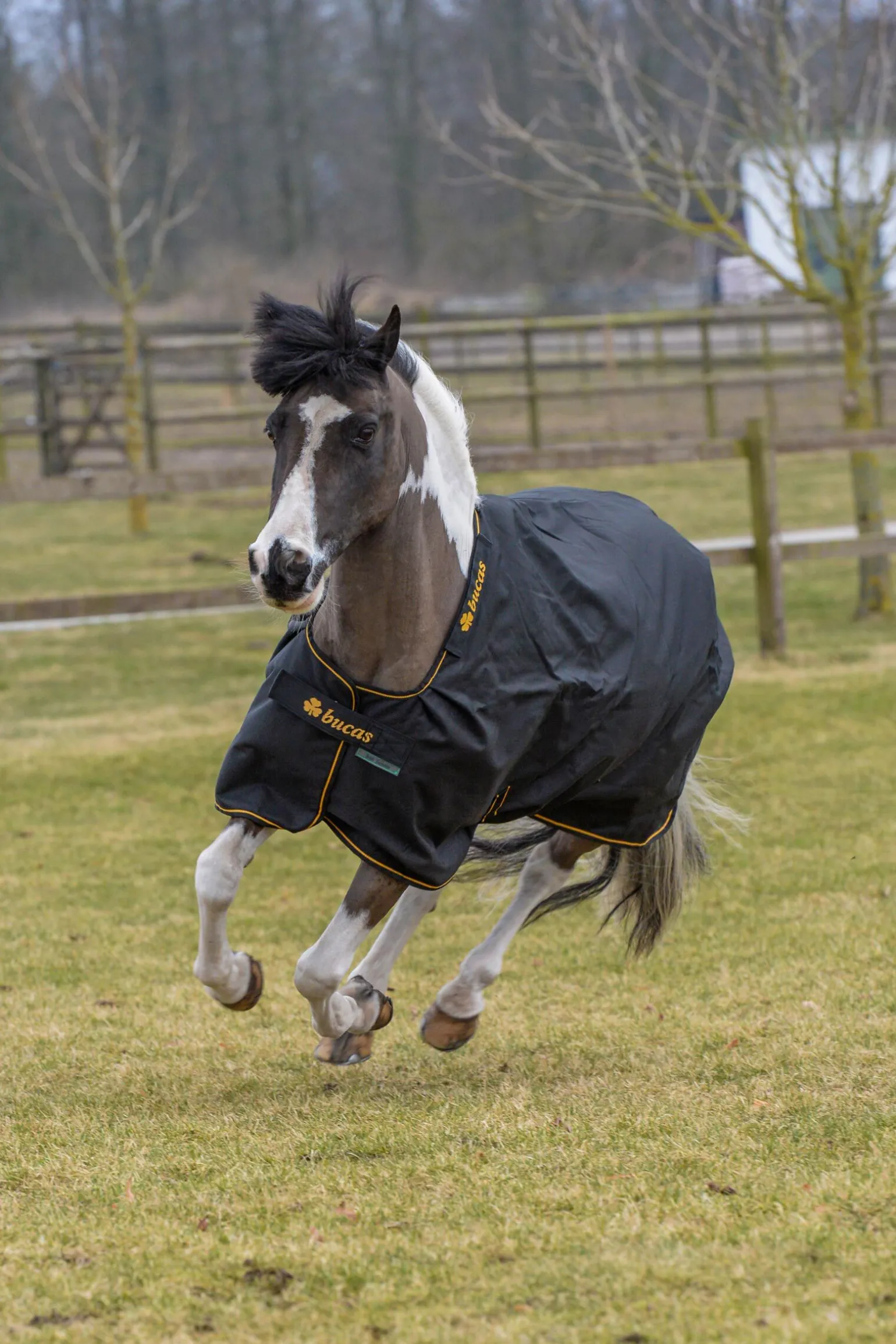 Bucas Irish Pony utedekken, 50g