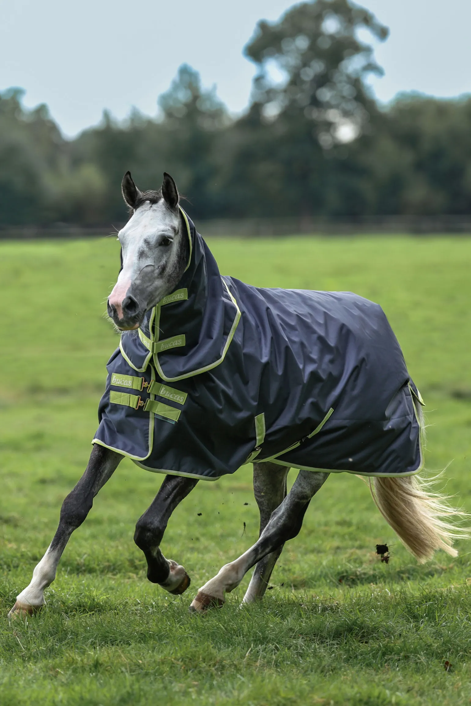 Bucas Oasis utedekken + halsstykke sett, 100g