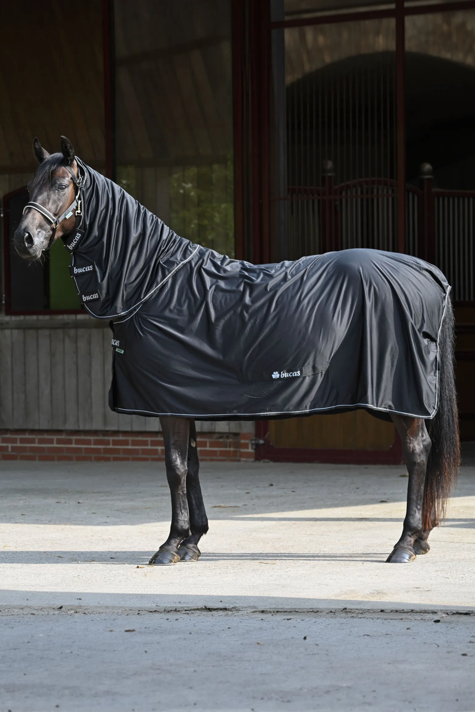 Bucas Power svettedekken + halsstykke sett