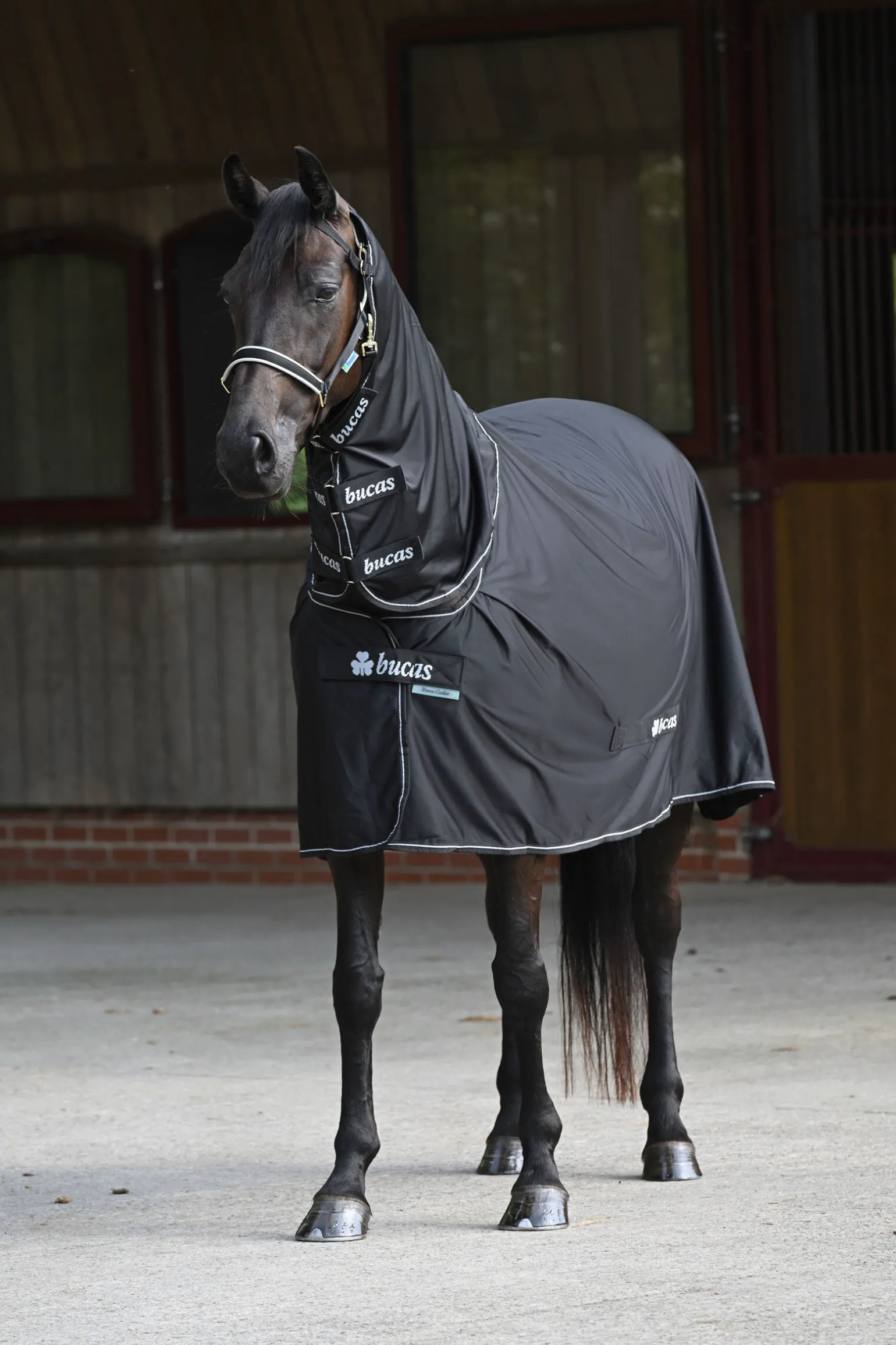 Bucas Power svettedekken + halsstykke sett