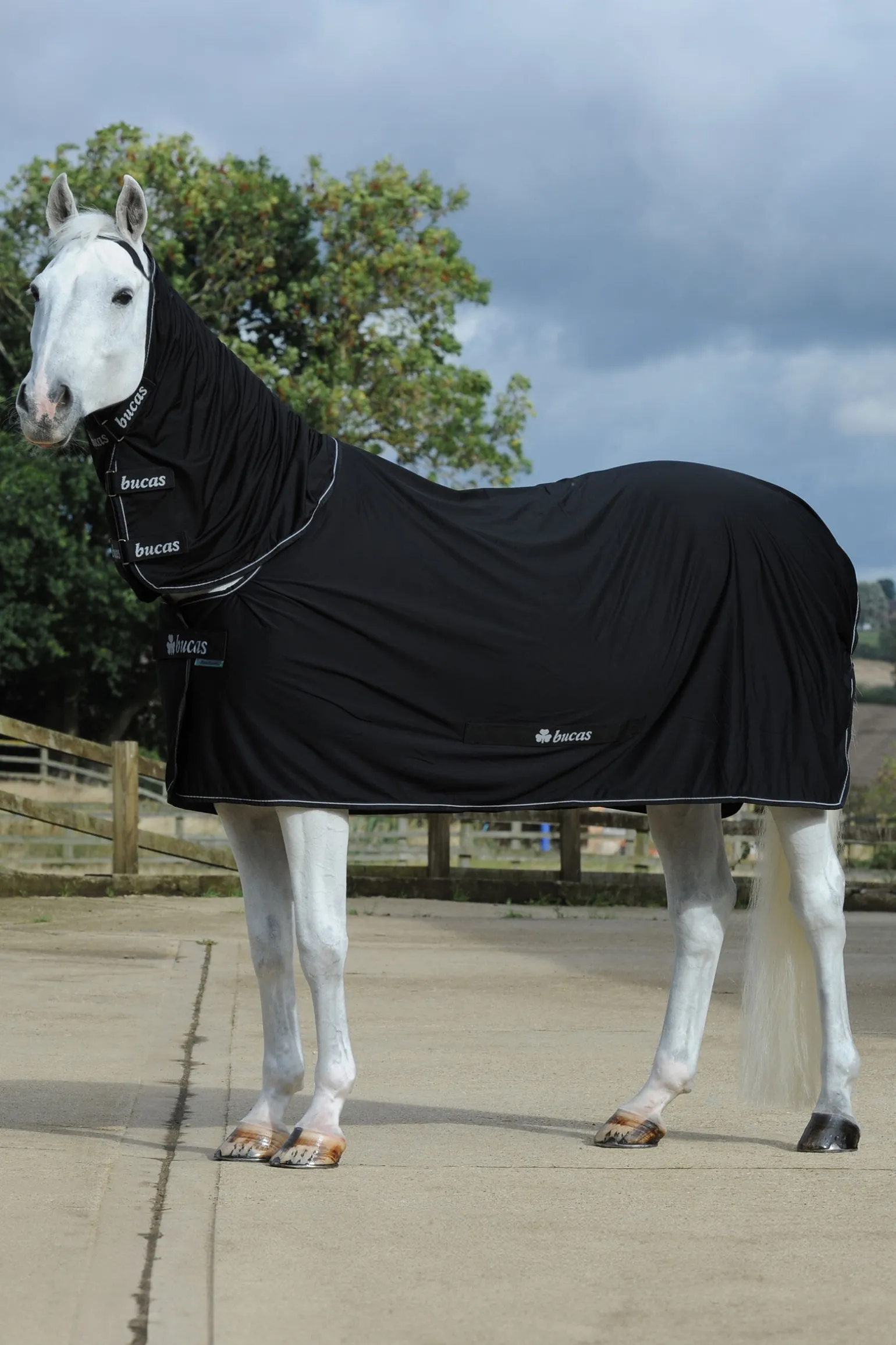 Bucas Power svettedekken + halsstykke sett