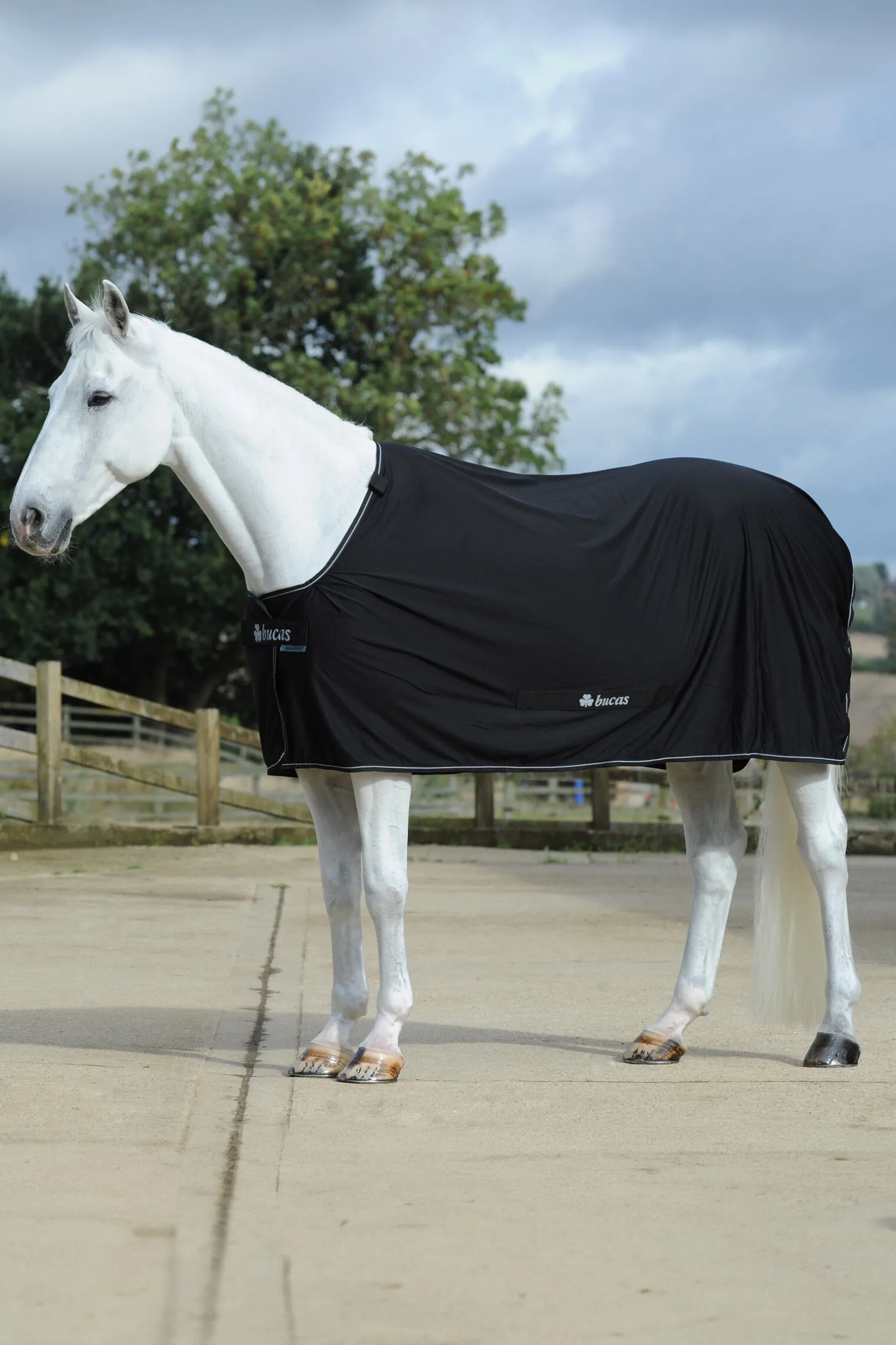 Bucas Power svettedekken + halsstykke sett