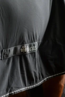 Bucas Shamrock Power dekken med hals