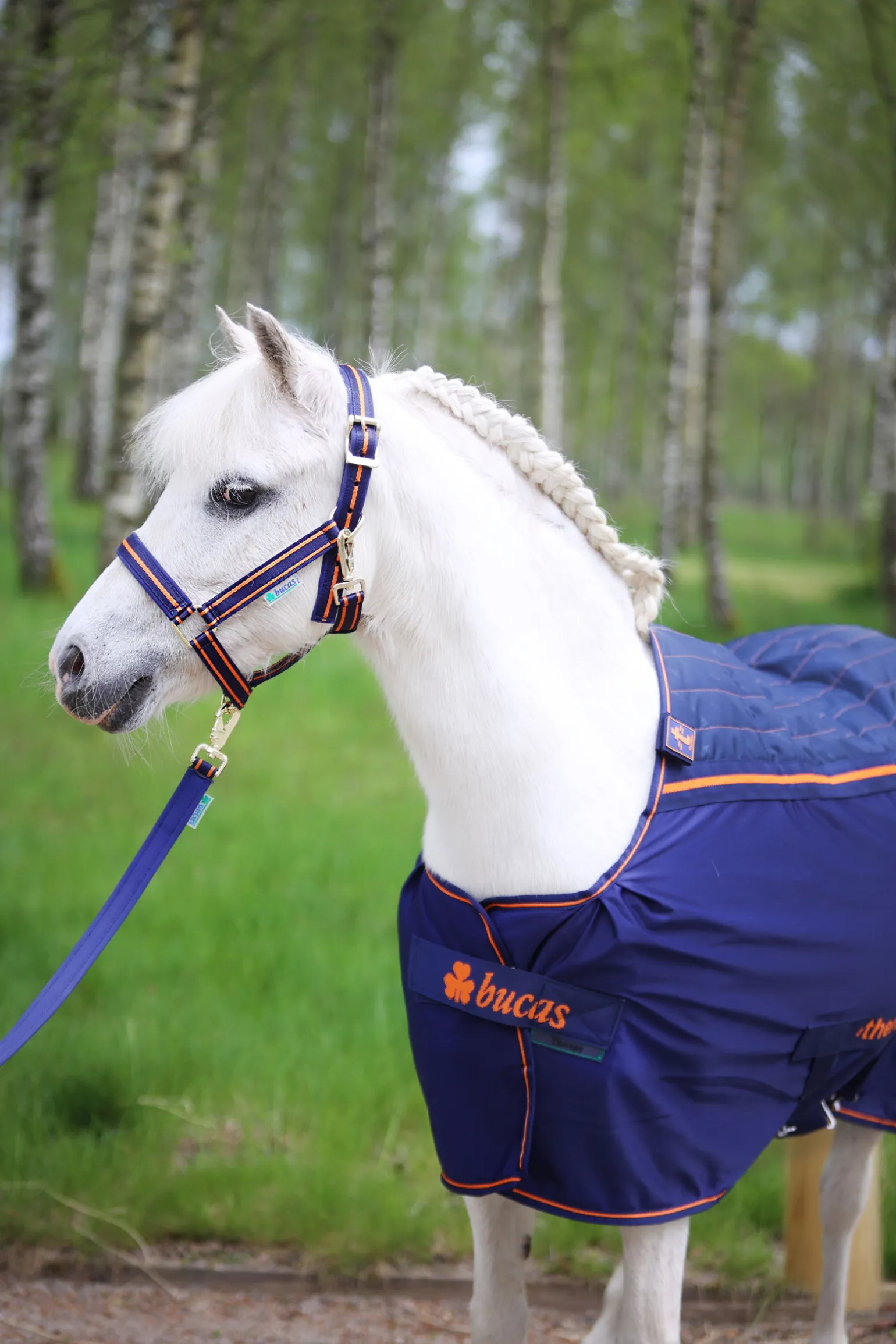 Bucas Therapy cooler-dekken for ponnier, 0 g