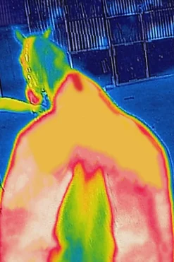 Bucas Therapy Mesh Cooler-dekken