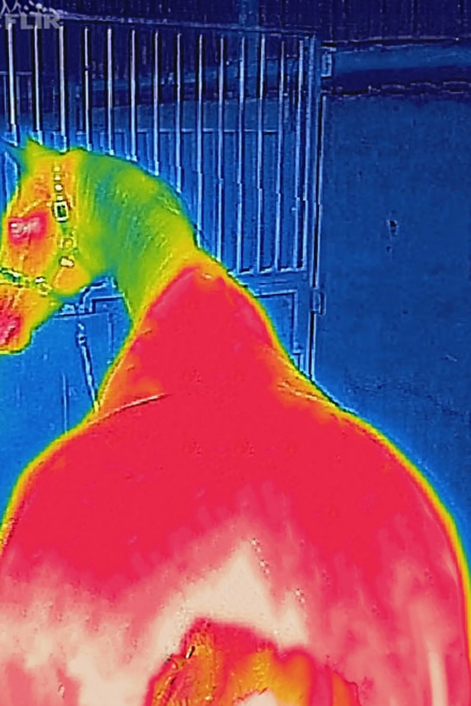 Bucas Therapy Mesh Cooler-dekken