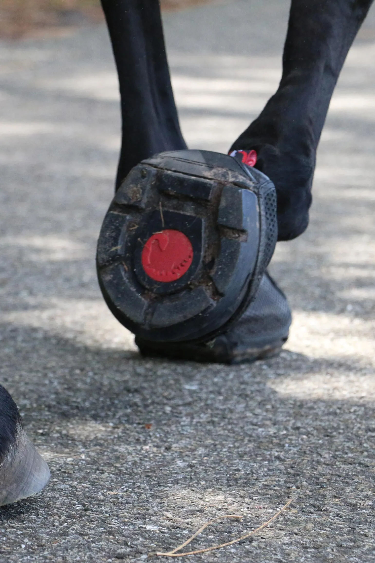 Cavallo Hoof Boots F.R.A. Trek SRS Boots (vanlig/par)