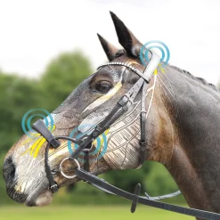 Collegiate ComFiTec Crystal, hodelag