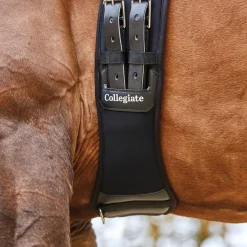 Collegiate Memory Foam, dressurgjord