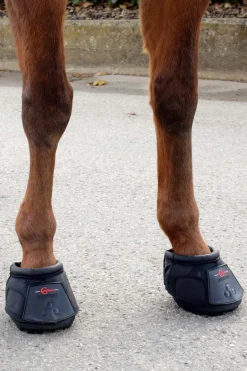 Covalliero hovsko (1 stk)