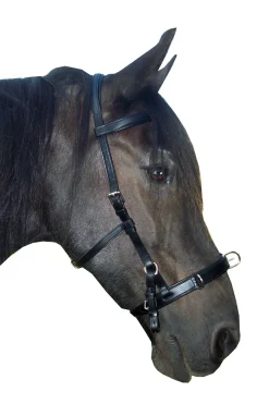 F.R.A. Freedom Riding Articles Baro kapsun, lær (shire)