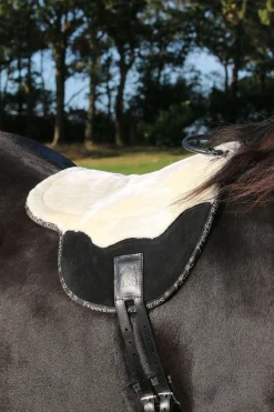 F.R.A. Freedom Riding Articles Free barbakpad, cob