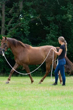 F.R.A. Freedom Riding Articles Flinn Treningstau i bomull, 820 cm