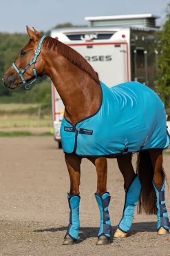 Horseware Amigo grime