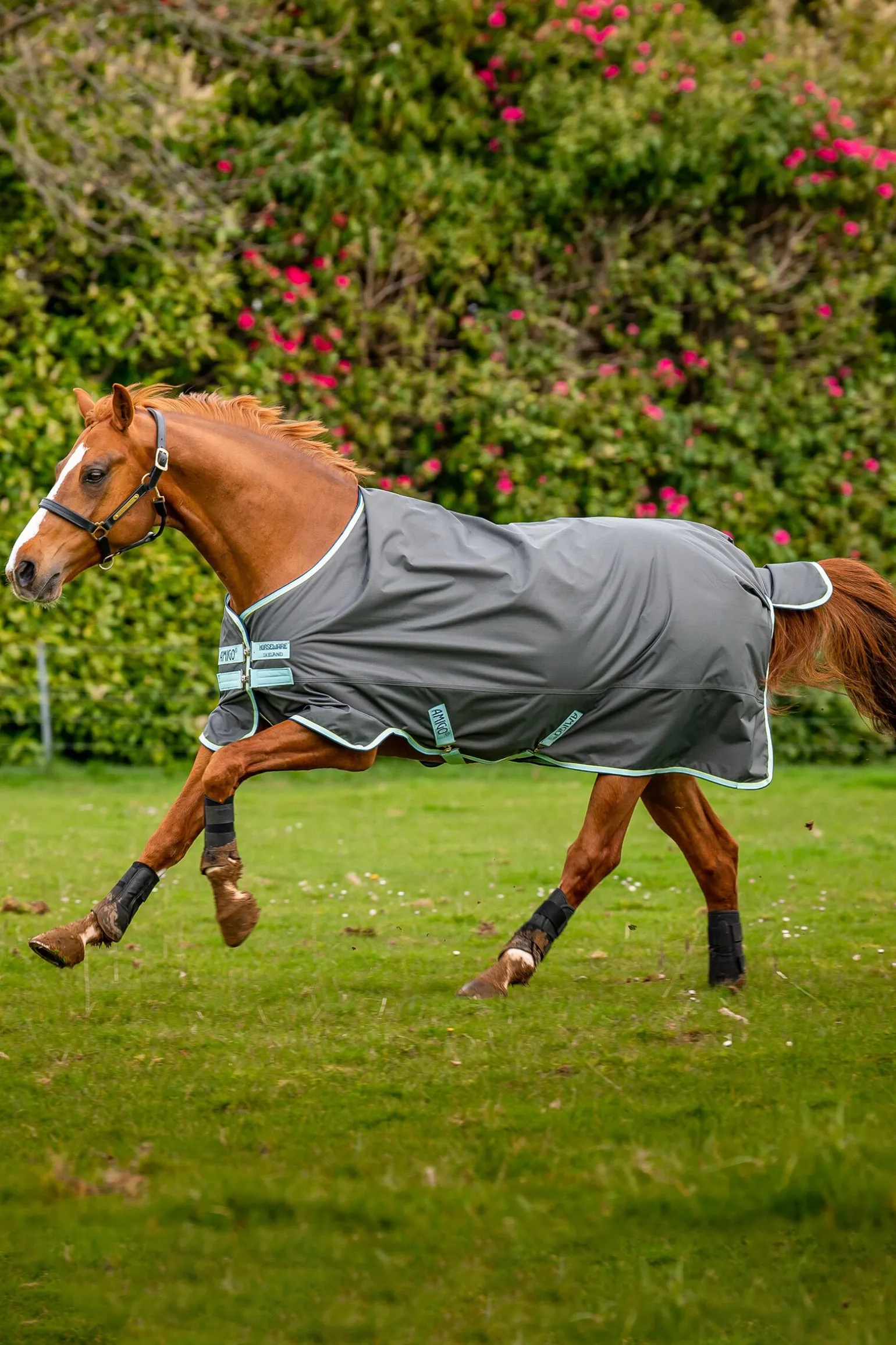 Horseware Amigo Hero Ripstop utedekken med fleecefôr, 50g