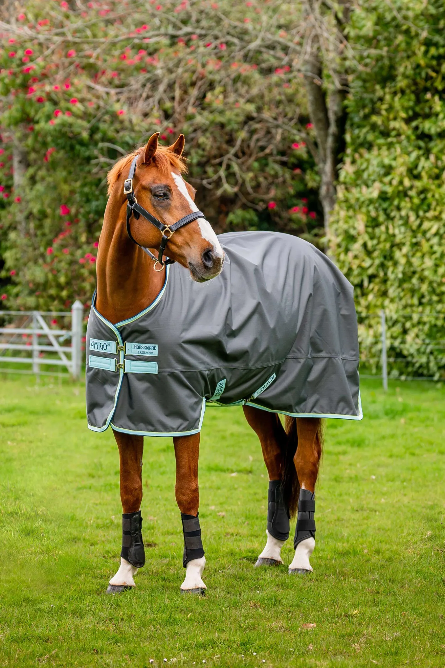 Horseware Amigo Hero Ripstop utedekken med fleecefôr, 50g