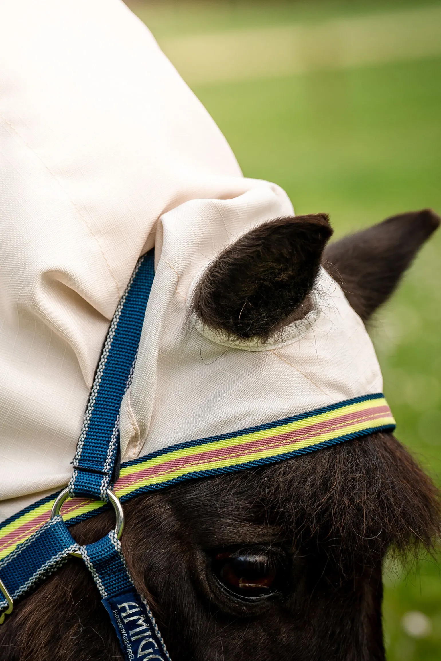 Horseware Amigo Ripstop Hoody Petite, fluedekken