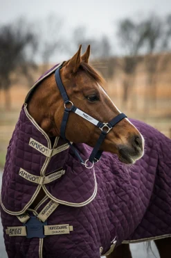 Horseware Amigo Stable Plus stalldekken med avtakbar halsdel, 200g