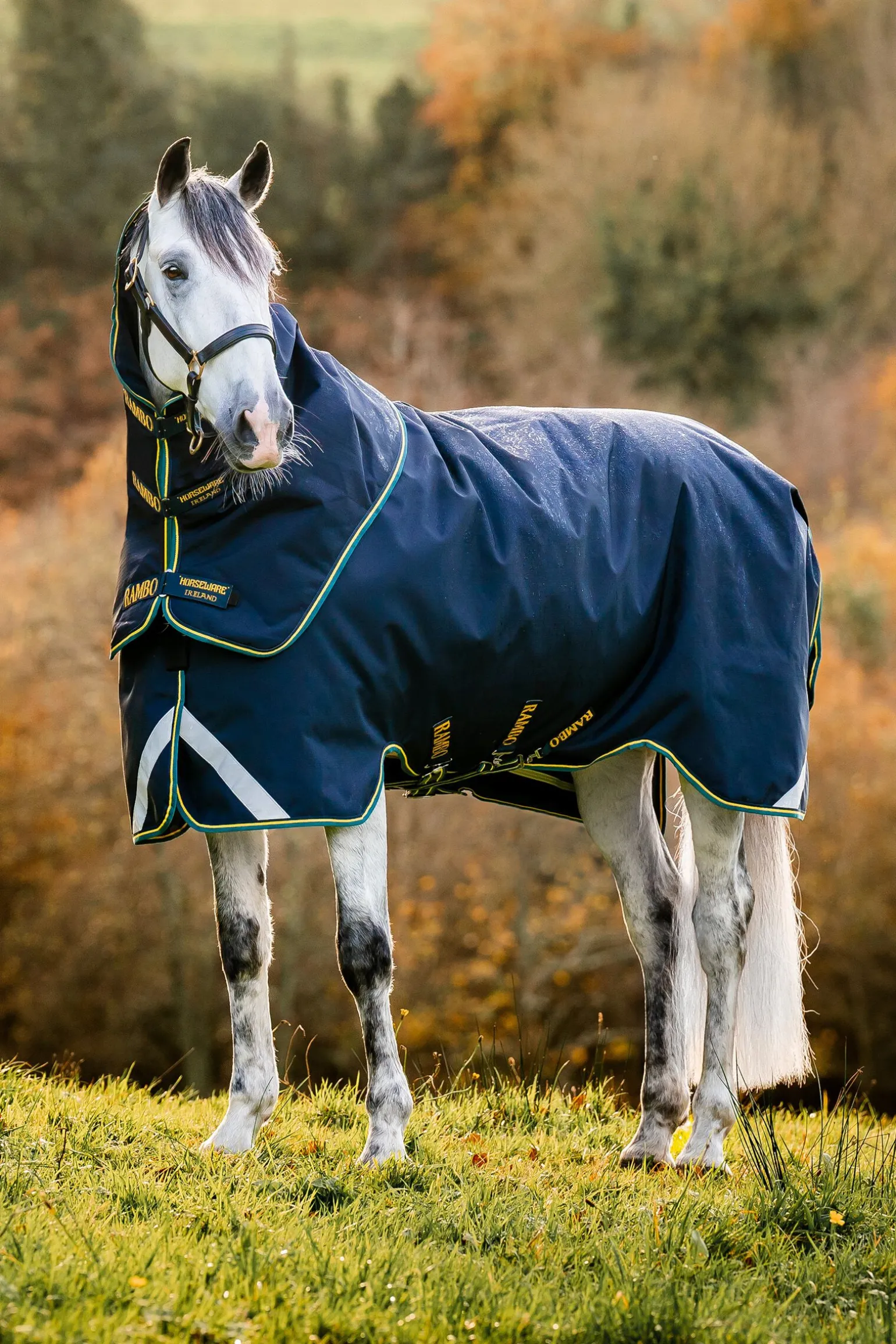 Horseware Rambo Force 2.0 utedekken, 100g (100 g yttertøy med 100 g liner og 300 g liner)