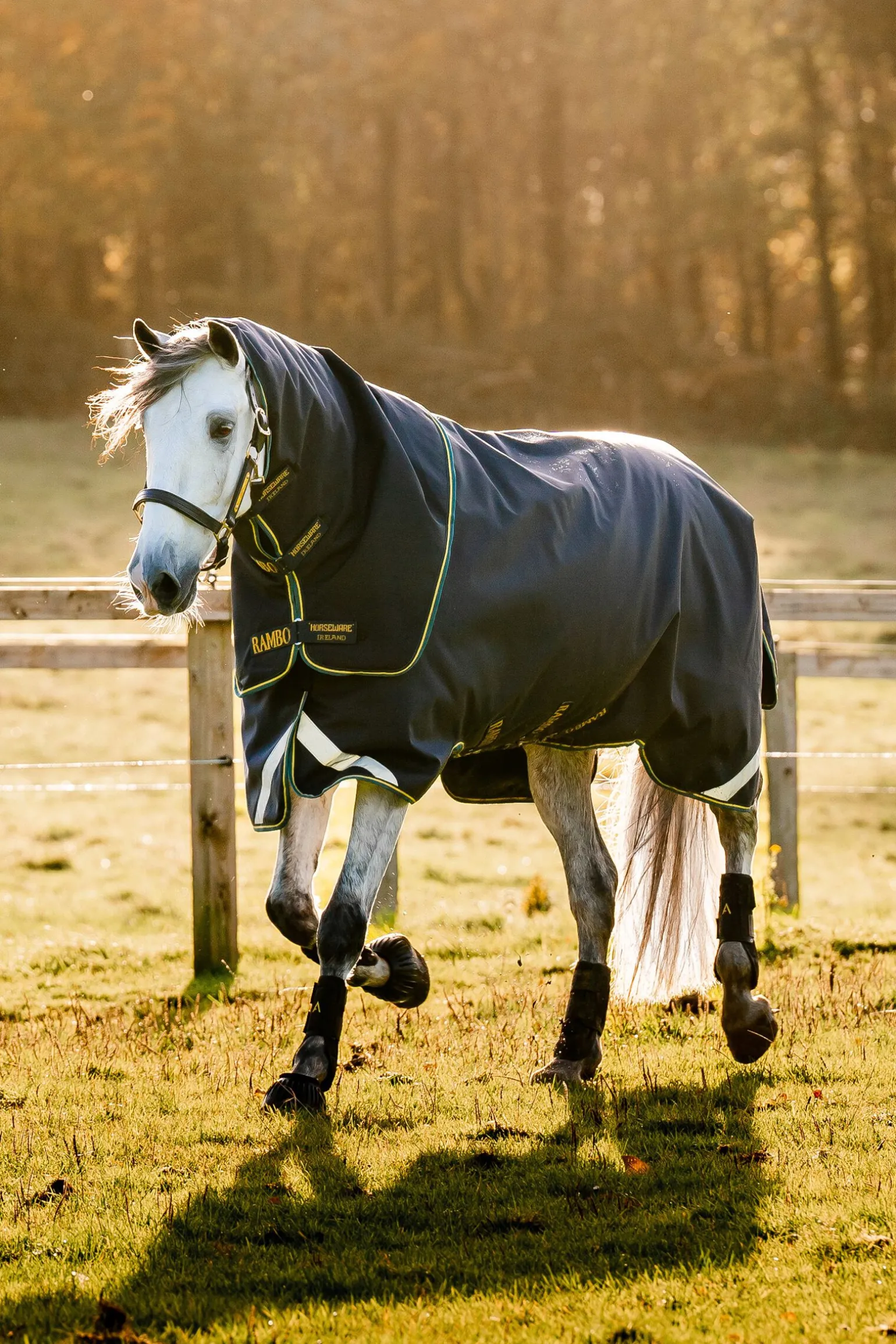 Horseware Rambo Force 2.0 utedekken, 100g (100 g yttertøy med 100 g liner og 300 g liner)