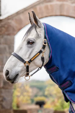 Horseware Rambo Optimo Plus Budle Beitedekken (med 200g Liner)