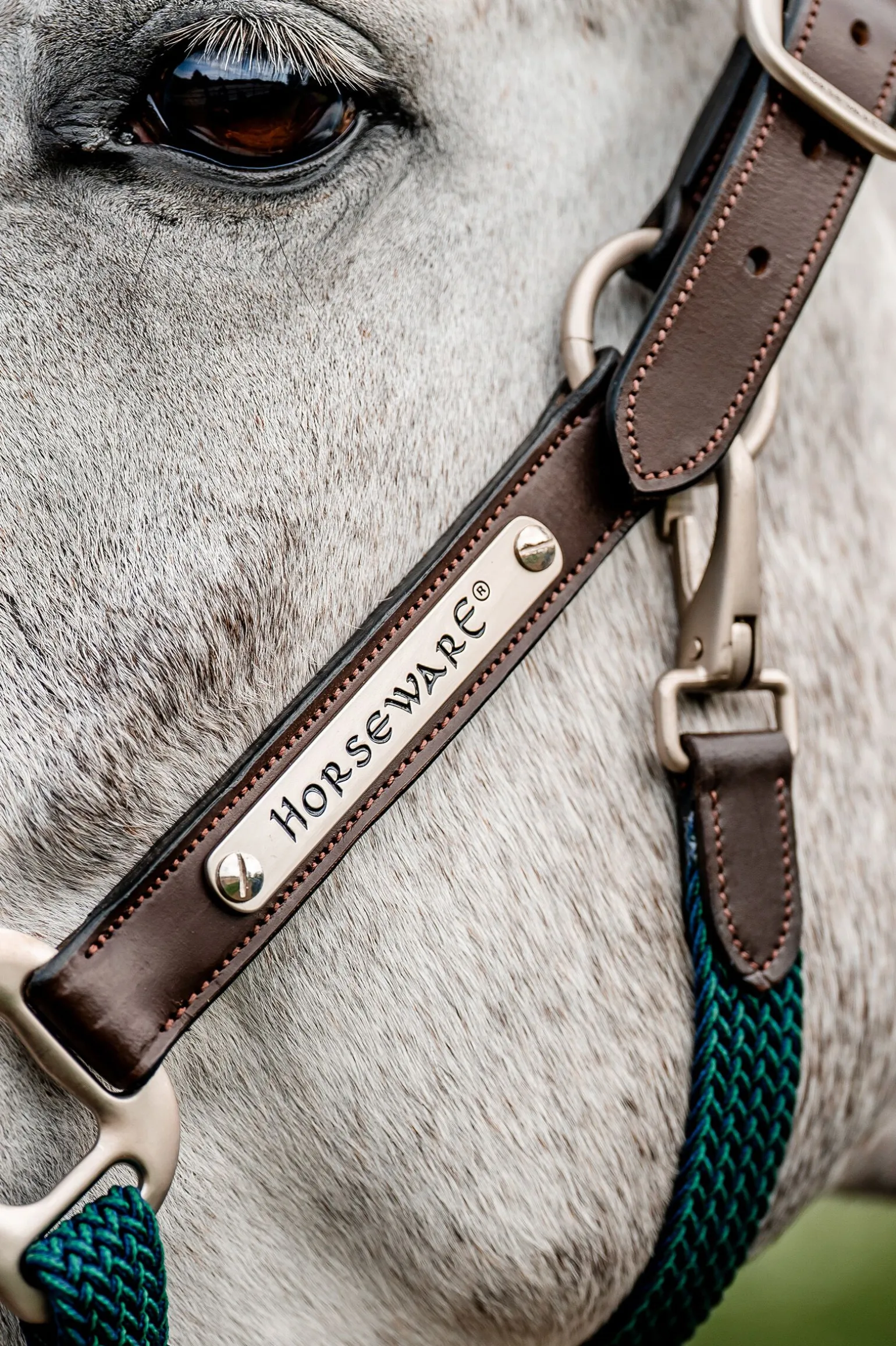 Horseware Signature flettet grime