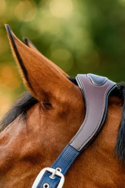 Horseware Signature Show Halter