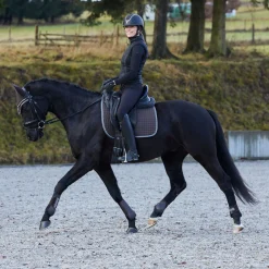 Horze Adepto allround sjabrak