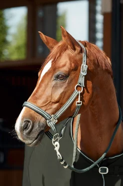 Horze Bari grime og leietau, sett