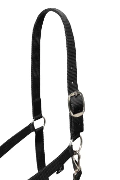 Horze Basic grime og leietau med panikkrok