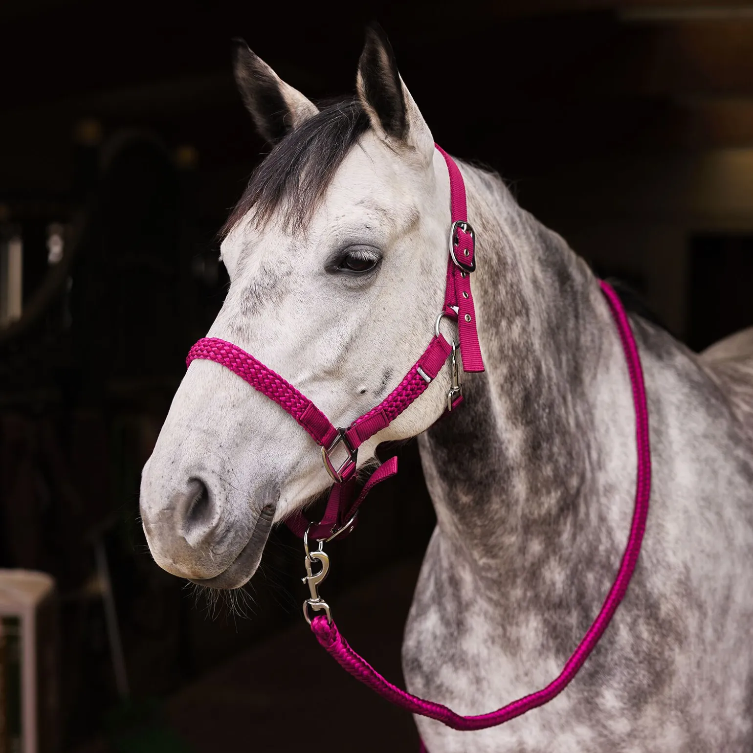 Horze Chicago grime og leietau, sett