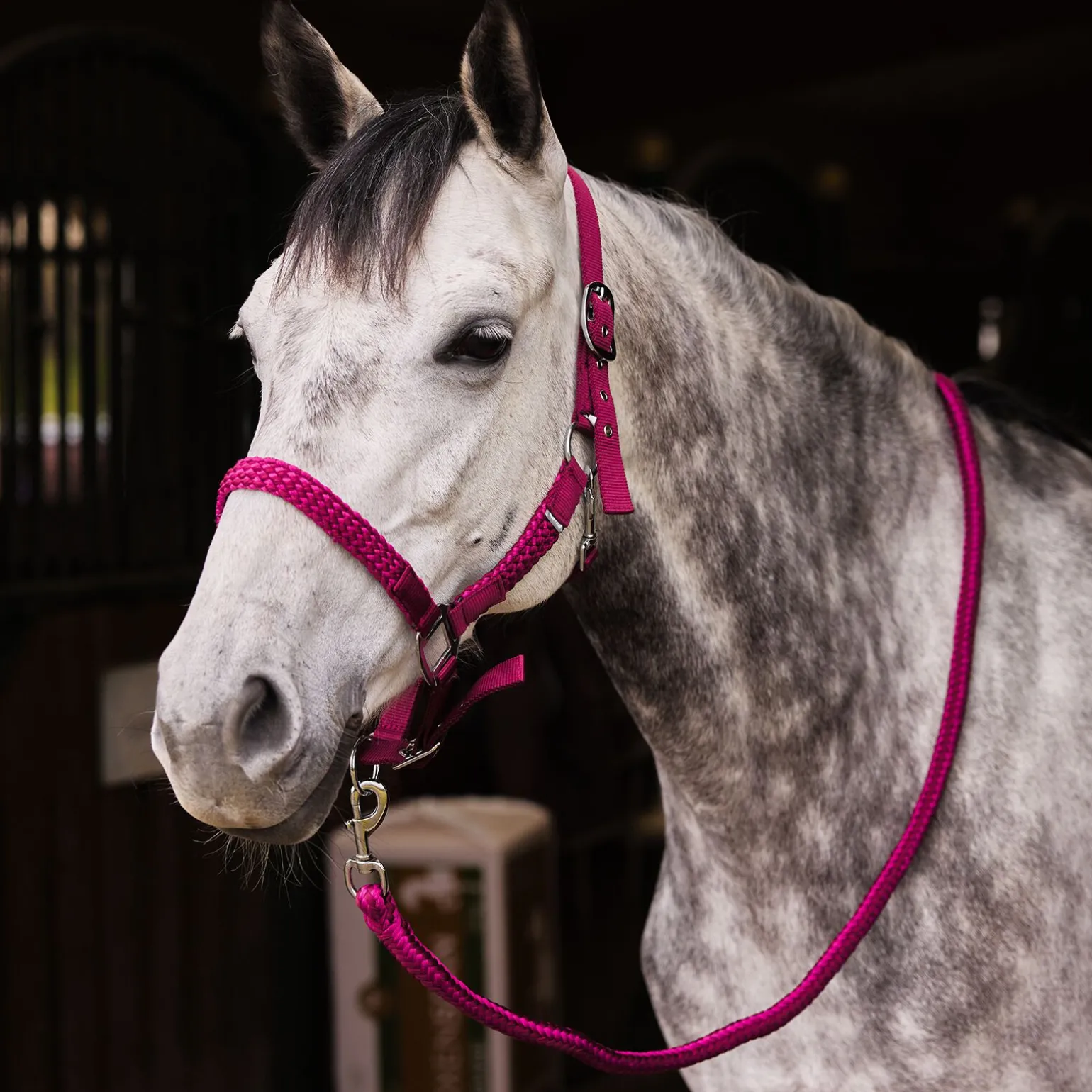 Horze Chicago grime og leietau, sett