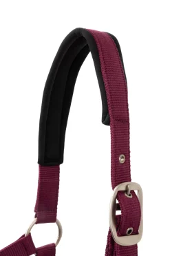 Horze Eternal Gaze Grimesett