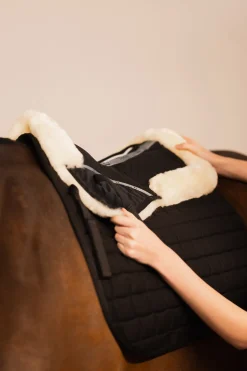 Horze Harleig Korreksjonssjabrak