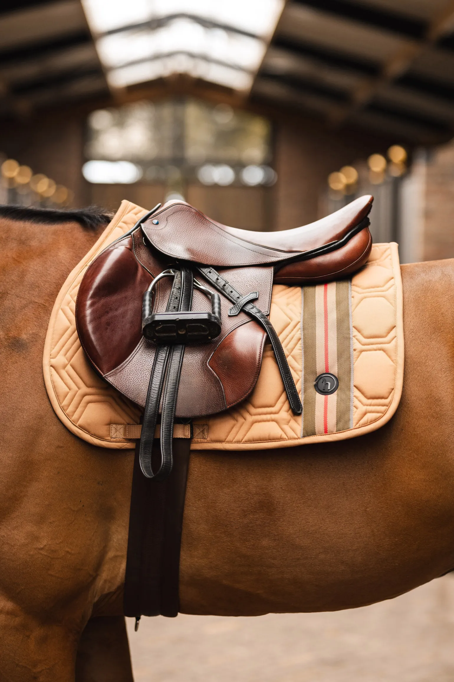 Horze High Life sprangsjabrak